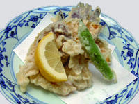 akiyasaitenpura200.jpg